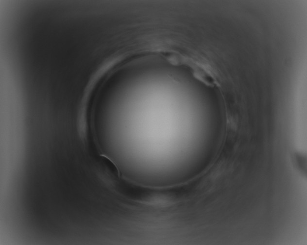 X0000101410248200807071301