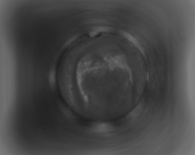 X0000101410249200807071301