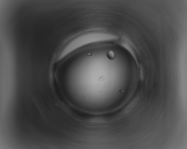 X0000101410252200807071301