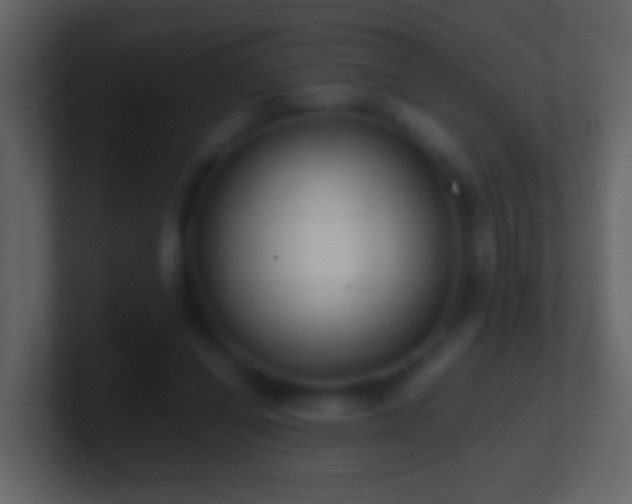 X0000101410254200807071301