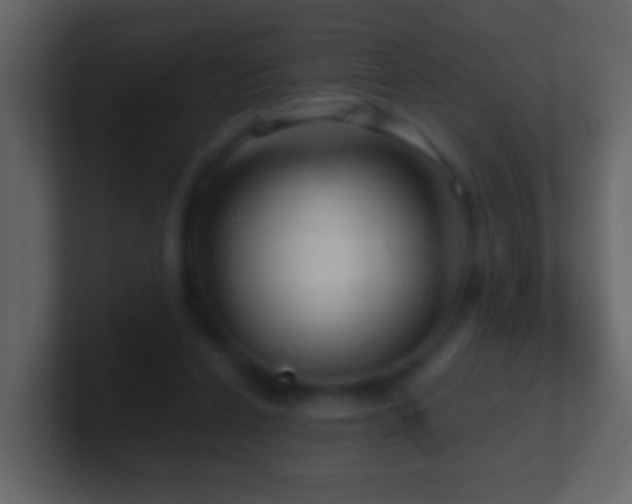 X0000101410256200807071301