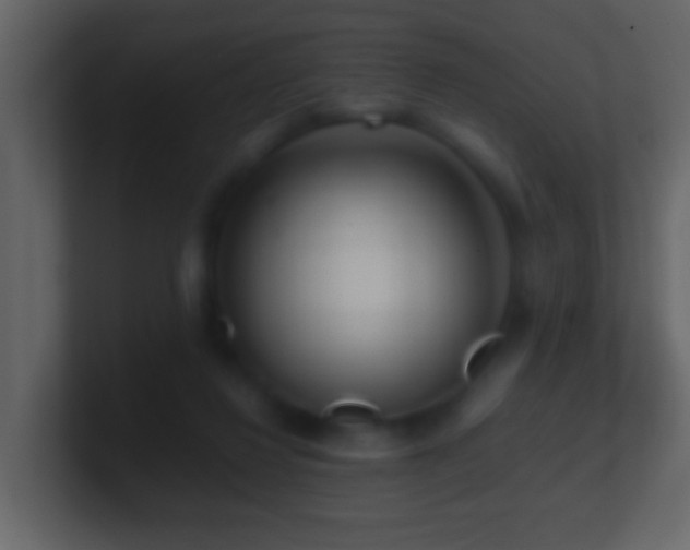 X0000101410260200807071301