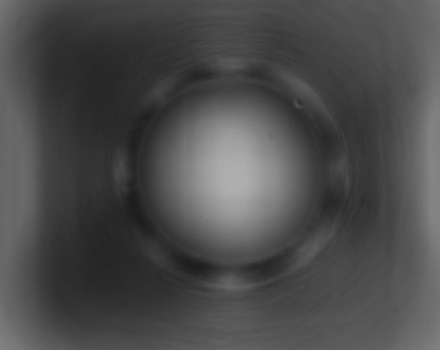 X0000101410264200807071301