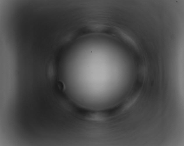 X0000101410268200807071301