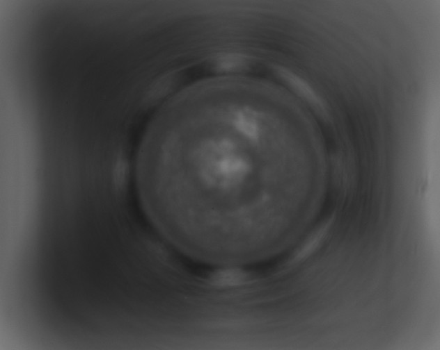 X0000101410269200807071301