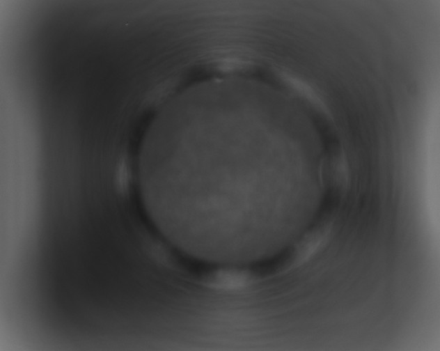 X0000101410272200807071301