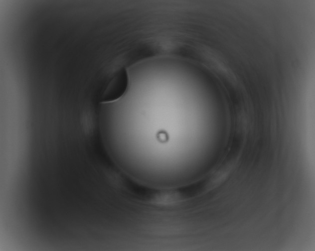 X0000101410274200807071301