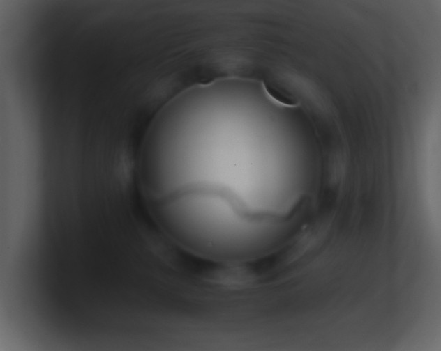 X0000101410279200807071301