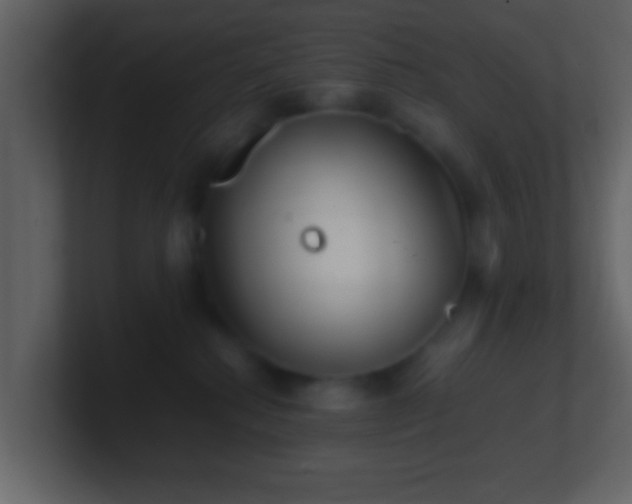 X0000101410280200807071301