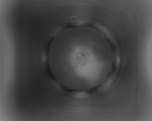X0000101410284200807071301