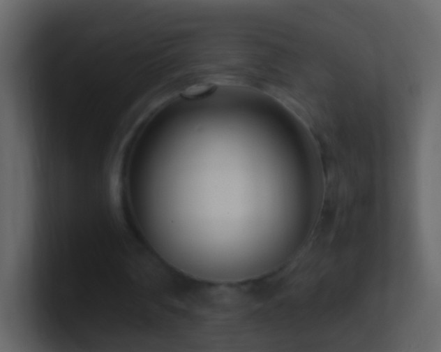 X0000101410290200807071300
