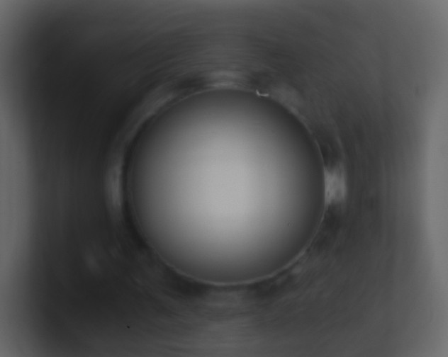 X0000101410291200807071300