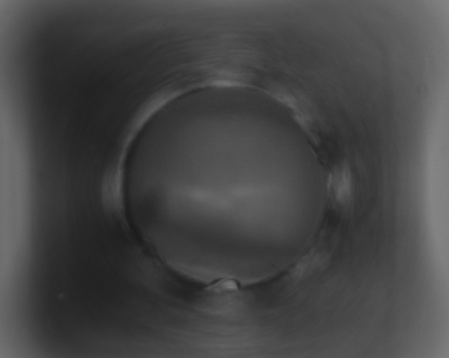 X0000101410292200807071300