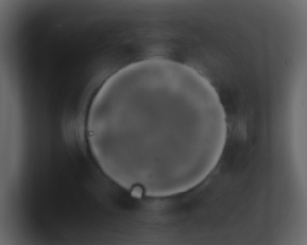 X0000101410293200807071300