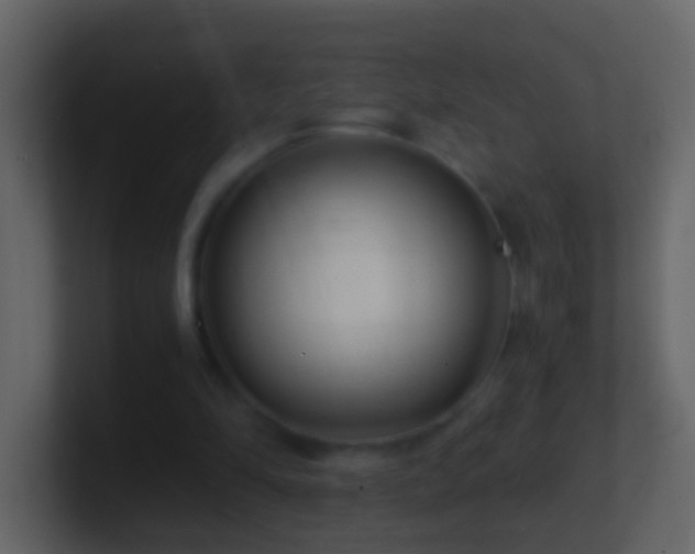 X0000101410294200807071300