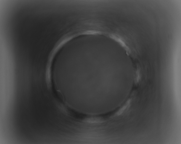 X0000101410296200807071300