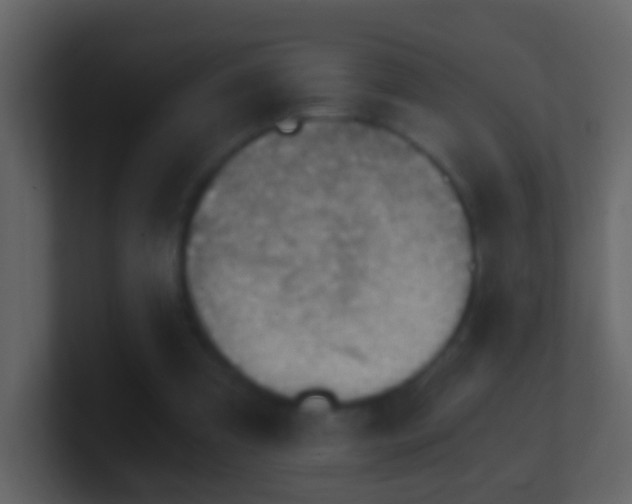 X0000101410297200807071300