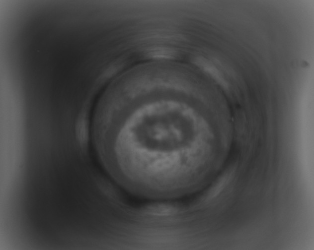 X0000101410299200807071300