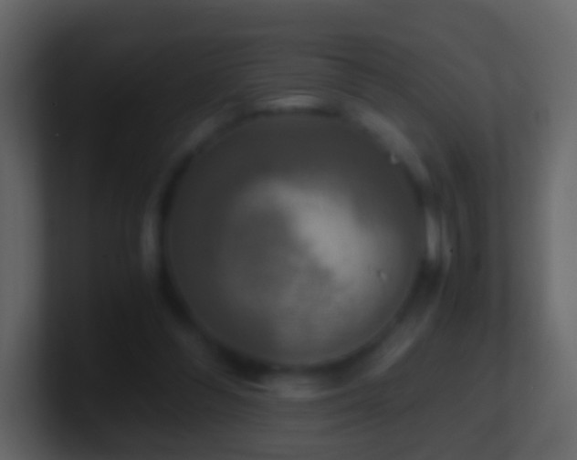 X0000101410300200807071300