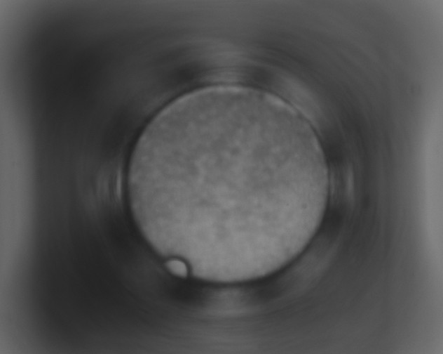 X0000101410301200807071300