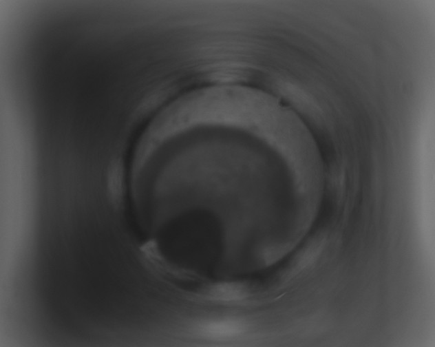 X0000101410303200807071300
