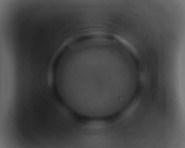 X0000101410304200807071300