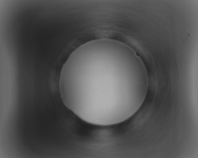 X0000101410307200807071300