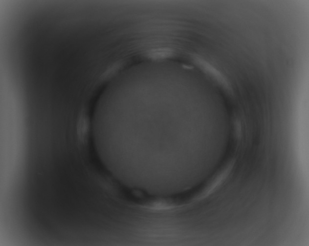 X0000101410308200807071300