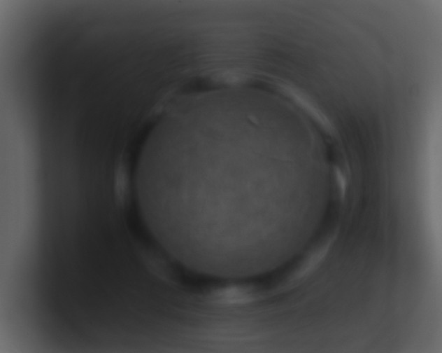 X0000101410312200807071300