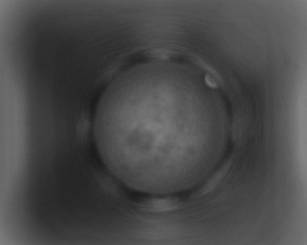 X0000101410314200807071300