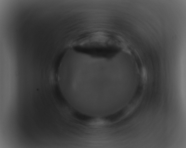 X0000101410316200807071300