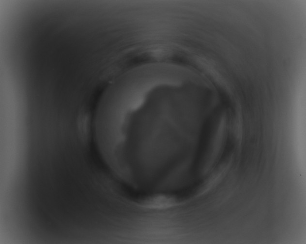 X0000101410319200807071300