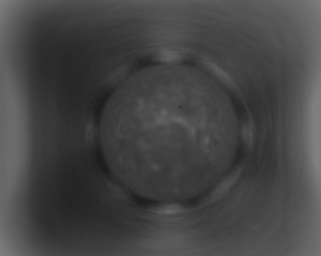 X0000101410322200807071300