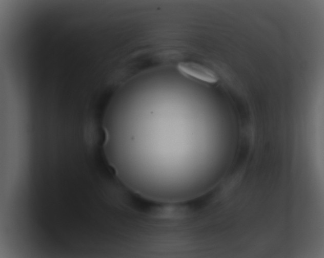 X0000101410323200807071300