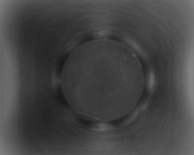 X0000101410324200807071300