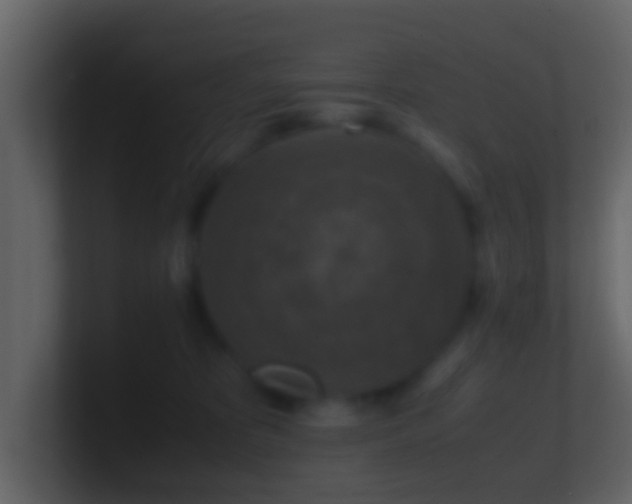 X0000101410325200807071300