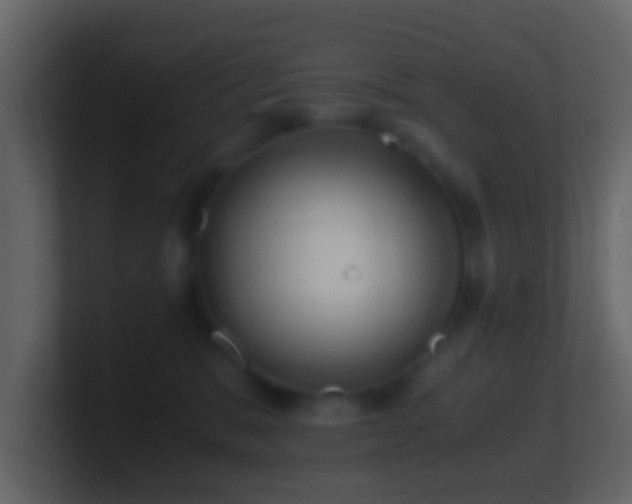 X0000101410327200807071300