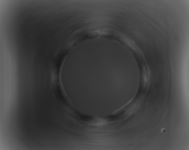 X0000101410328200807071300