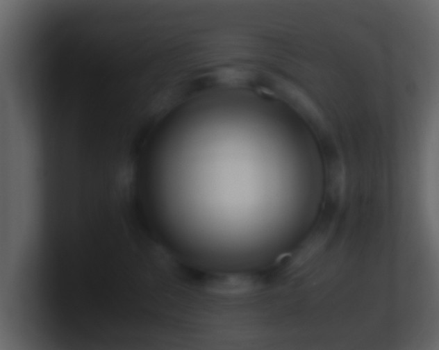 X0000101410329200807071300