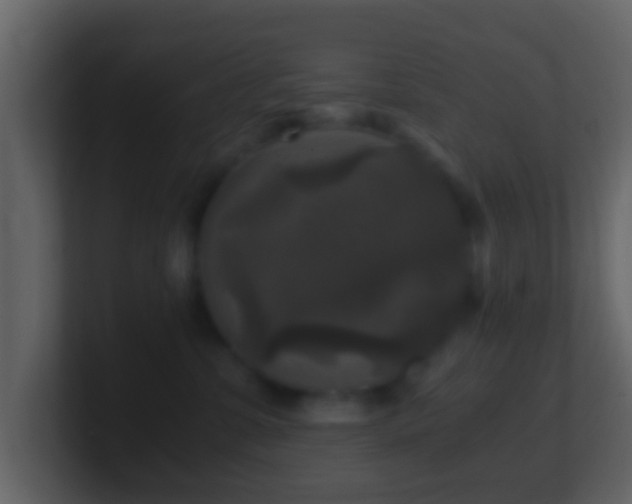 X0000101410331200807071300