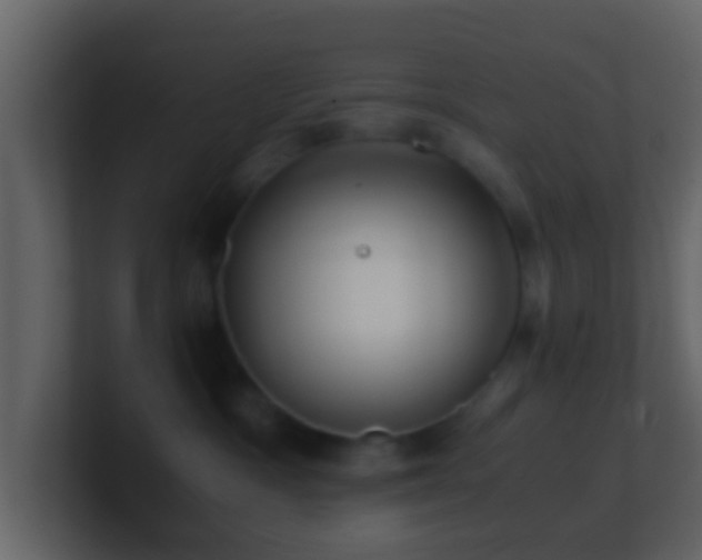 X0000101410333200807071300