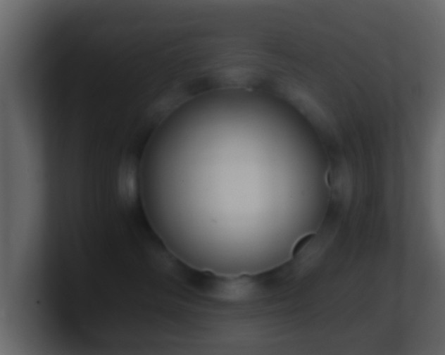 X0000101410334200807071300