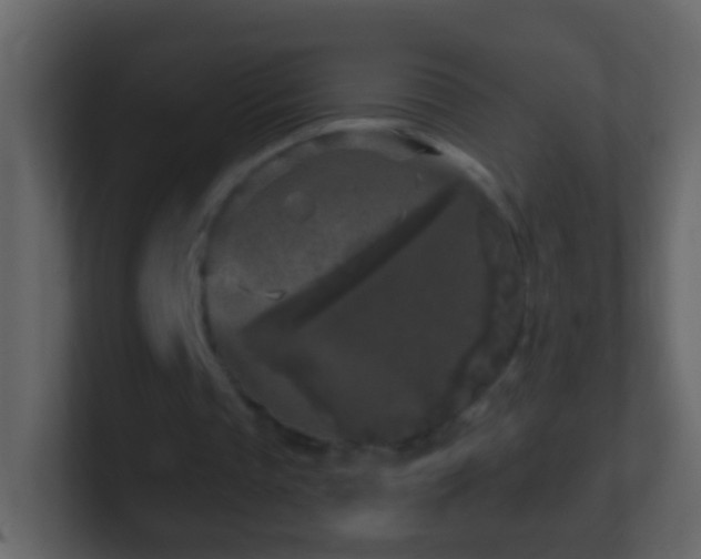 X0000101410337200807071259