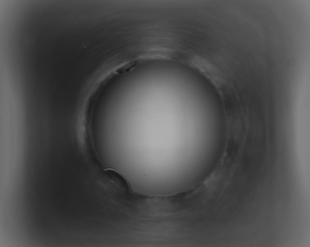 X0000101410338200807071259