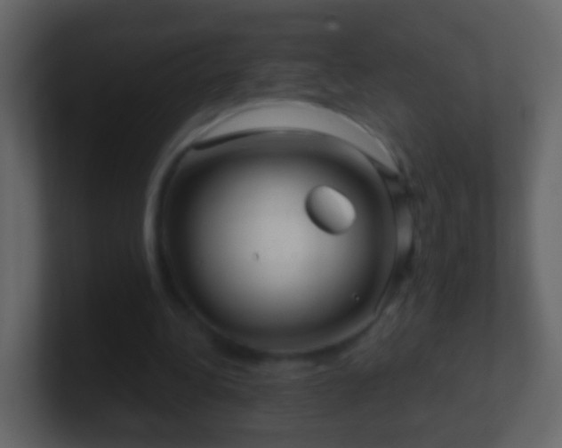 X0000101410340200807071259