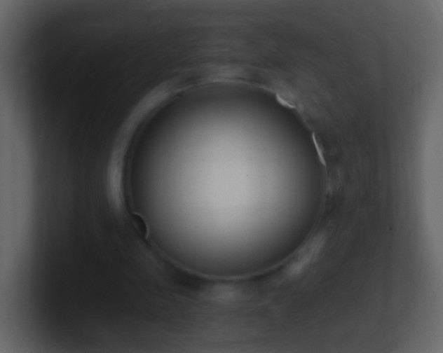 X0000101410341200807071259