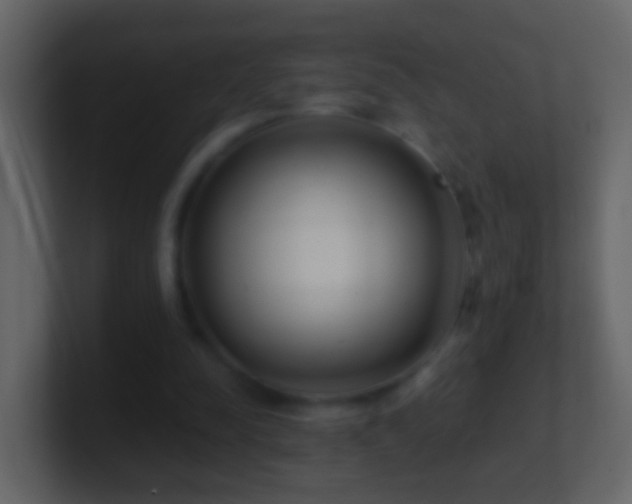 X0000101410342200807071259