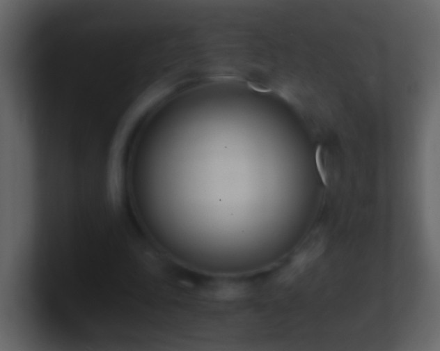 X0000101410343200807071259