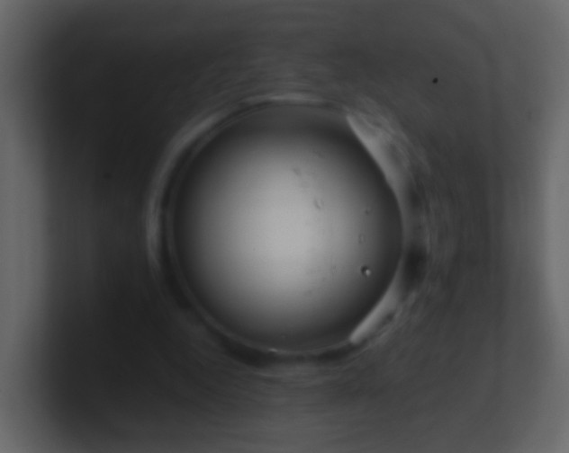 X0000101410344200807071259