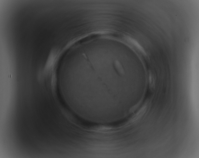 X0000101410348200807071259